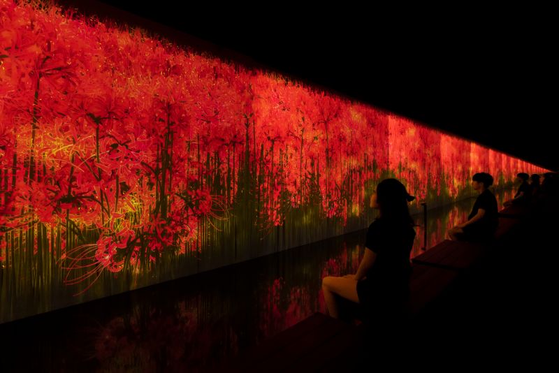 teamlab-sauna teamlab-sauna